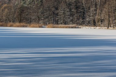 Kış zaman manzara Polonya 