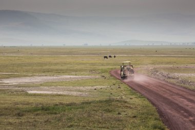 Ngorongoro krateri, Tanzanya, Doğu Afrika (Unesco Dünya üzerinden görünüm