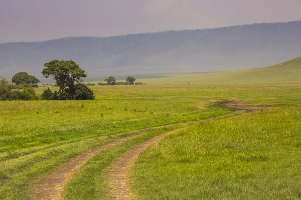 View over Ngorongoro Crater, Tanzania, East Africa (UNESCO World — Stock Photo, Image