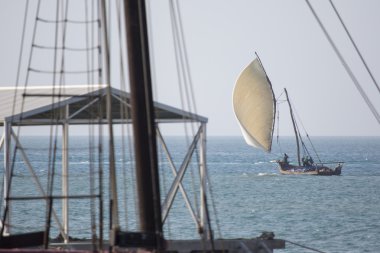 Zanzibar açık turkuaz su ahşap yelkenli (dhow) 