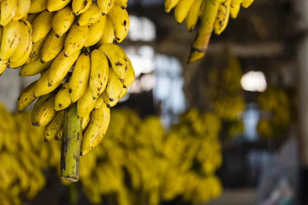 市场上的香蕉 — 图库照片