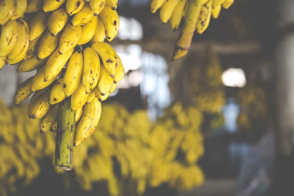 Banane sul mercato — Foto Stock