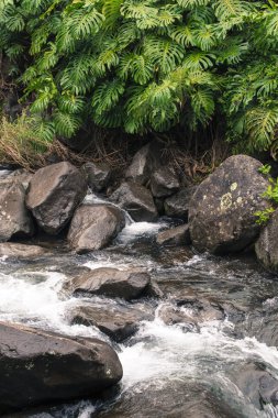 IAO valley state park maui Hawaii