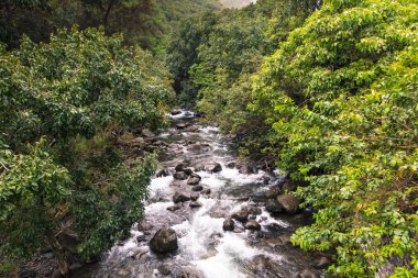 IAO valley state park maui Hawaii