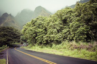 IAO valley state park maui Hawaii