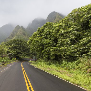 IAO valley state park maui Hawaii