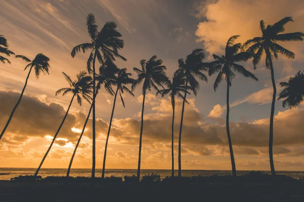 Zachód słońca na Hawajach — Zdjęcie stockowe