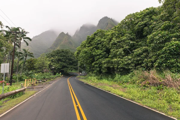 Iao Valley State Park a Maui Hawaii — Foto Stock