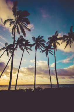 Hawaii Günbatımı