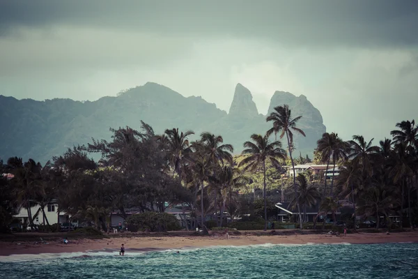 Palmeira de coco na praia de areia em Kapaa Hawaii, Kauai — Fotografia de Stock