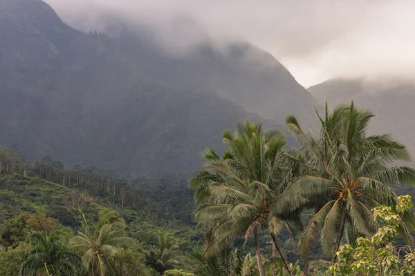 Vista com vista para Hanalei em Kauai, Havaí — Fotografia de Stock