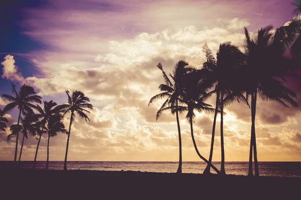 Pôr do sol havaiano — Fotografia de Stock