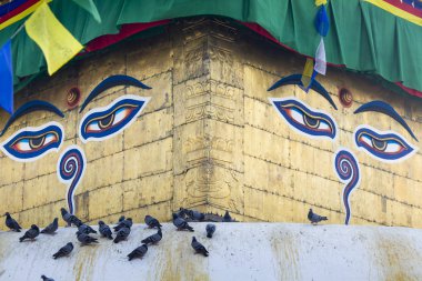 Stupa in Swayambhunath Maymun Tapınağı Katmandu, Nepal.