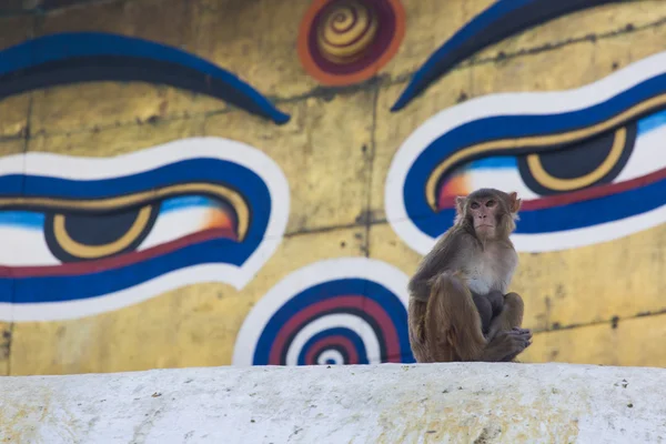 Stupa in Swayambhunath Tempio delle scimmie a Kathmandu, Nepal. — Foto Stock