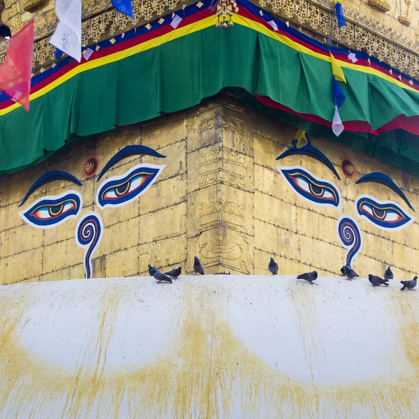 Stupa in Swayambhunath Maymun Tapınağı Katmandu, Nepal. — Stok fotoğraf