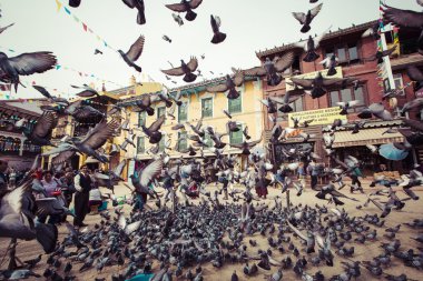 Kuşlar Katmandu Vadisi'nde mavi gökyüzüne uçan ile Bodhnath stupa