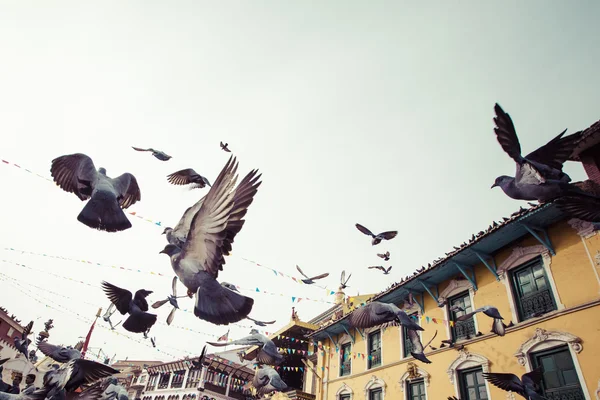 Bodhnath stupa con aves voladoras en el cielo azul en el valle de Katmandú —  Fotos de Stock