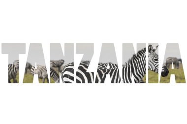 Vahşi hayvanlar için TANZANIA.