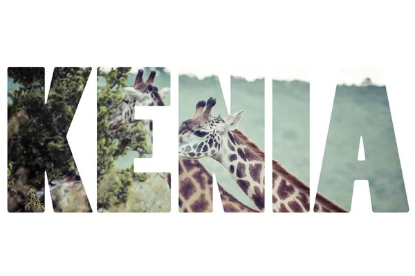 Słowo Kenii przez dzikie zwierzęta. — Zdjęcie stockowe