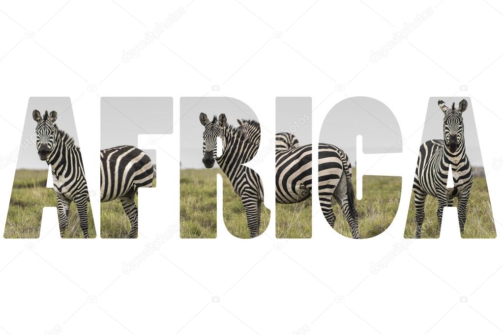 Word AFRICA over wild animals.
