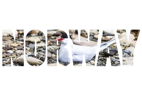 Word NORWAY over Spitsbergen natural world. — Stock Photo, Image