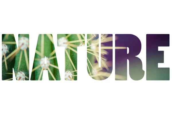 サボテンの植物の上の単語自然. — ストック写真