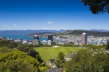 Wellington, Yeni Zelanda görünümünü
