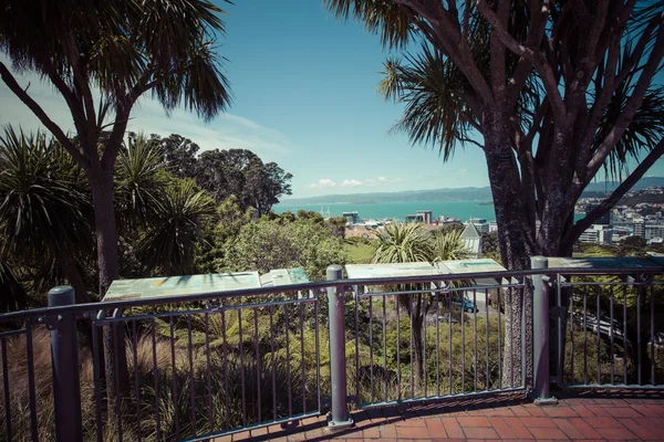 Widok z Wellington, Nowa Zelandia — Zdjęcie stockowe