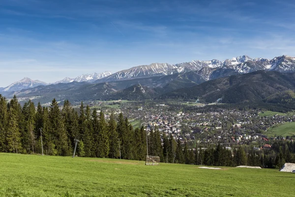 Staden Zakopane och Tatrabergen sett från toppen av Gubalowka, St — Stockfoto