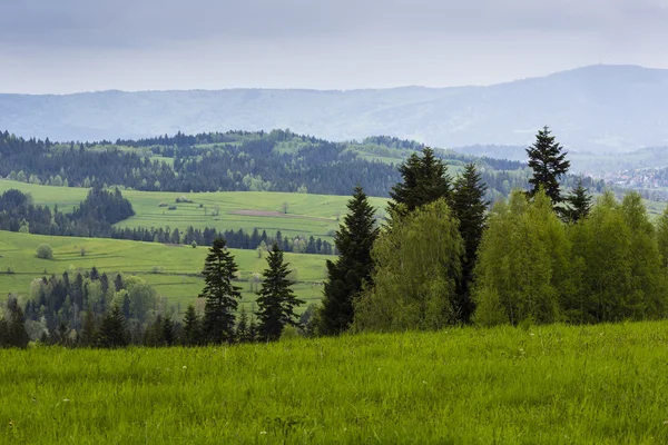 Bela vista das montanhas de Beskidy, Polônia — Fotografia de Stock