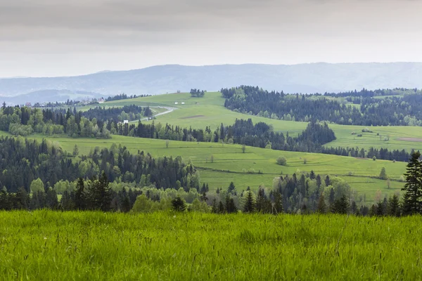 Vedere frumoasă a munților Beskidy, Polonia — Fotografie, imagine de stoc