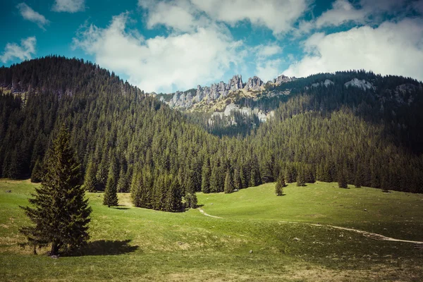 Cabane en bois dans la vallée de Chocholowska, montagnes Tatra, Pologne — Photo