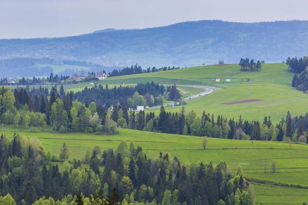 Mountain landscape in spring. Trail leading through the green va — Stock Photo, Image