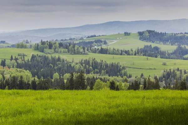 Mountain landscape in spring. Trail leading through the green va — Stock Photo, Image