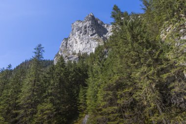 Koscieliska Vadisi - Tatras dağlar, Polonya Milli Parkı.