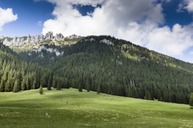 Chocholowska Vadisi, Tatra Dağları, Polonya