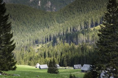 Chocholowska Vadisi, Tatra Dağları, Polonya