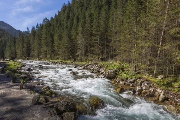 Valle de Koscieliska - Montañas Tatras, Parque Nacional Polaco . — Foto de Stock