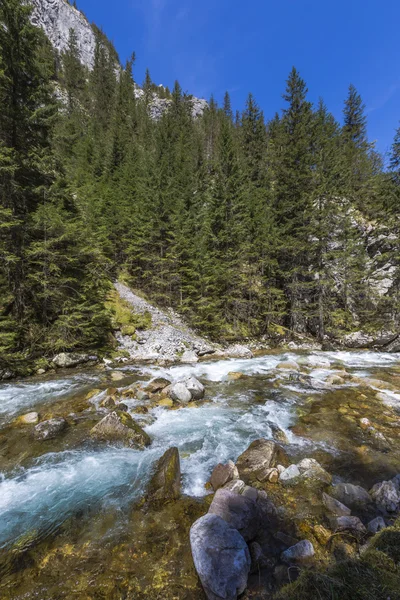 Koscieliska Valley - Montagnes Tatras, Parc National Polonais . — Photo