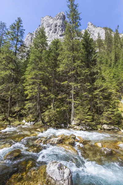 Nationaal Park Koscieliska Valley - Tatra gebergte, Pools. — Stockfoto