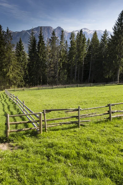 Koscieliska Valley - Tatras Mountains, Polish National Park. — Stock Photo, Image