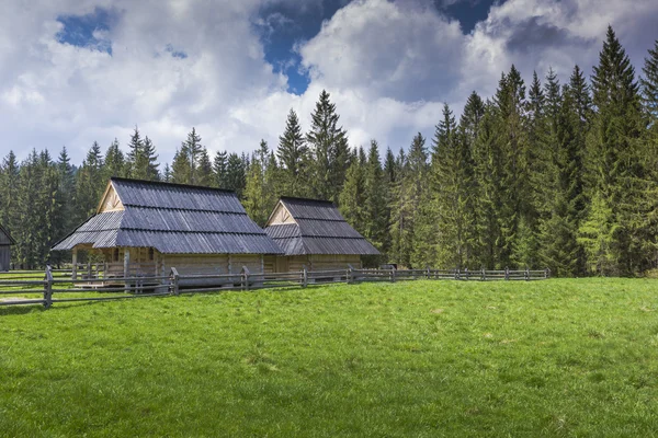 Chocholowska vallei, Tatra gebergte, Polen — Stockfoto