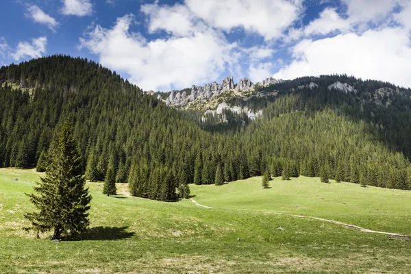 Dolina Chochołowska Dolina, Tatry, Polska — Zdjęcie stockowe