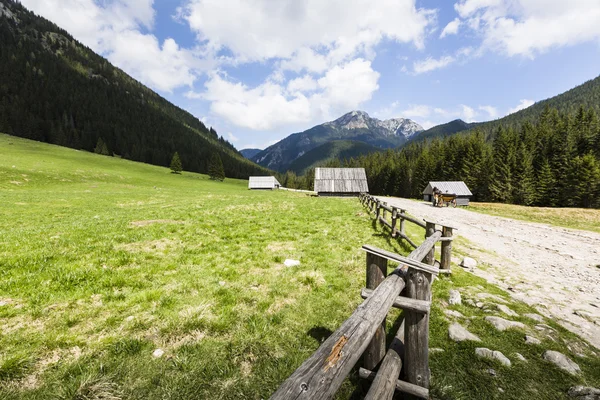 Chocholowska vallei, Tatra gebergte, Polen — Stockfoto