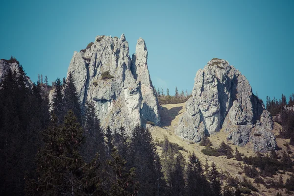 Chocholowska valley, Tatrabergen, Polen — Stockfoto