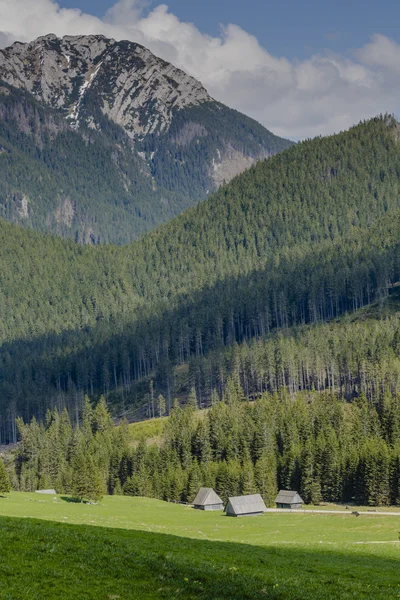 Valle de Chocholowska, Montañas Tatra, Polonia —  Fotos de Stock