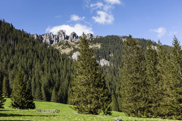 Chocholowska valley, Tatra Mountains, Poland — Stock Photo, Image