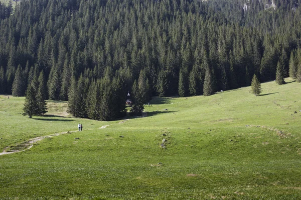 Valle de Chocholowska, Montañas Tatra, Polonia — Foto de Stock