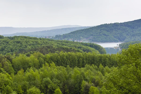 景观 (有赖于湖、 Bieszczady，波兰) — 图库照片