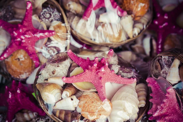 Tengeri csillag és a tengeri kagylókból ajándéktárgyak eladó — Stock Fotó